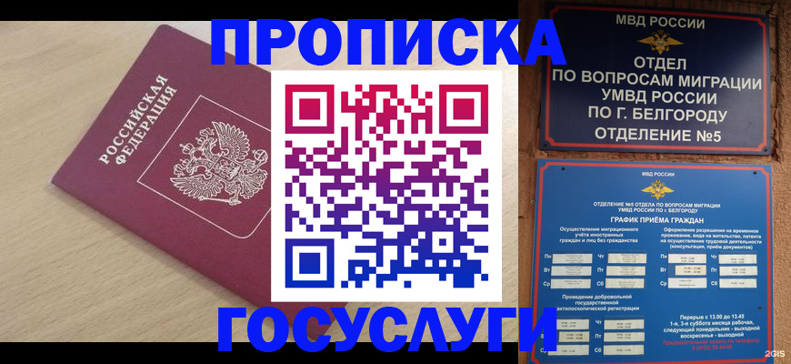 прописка законно в Каргополе